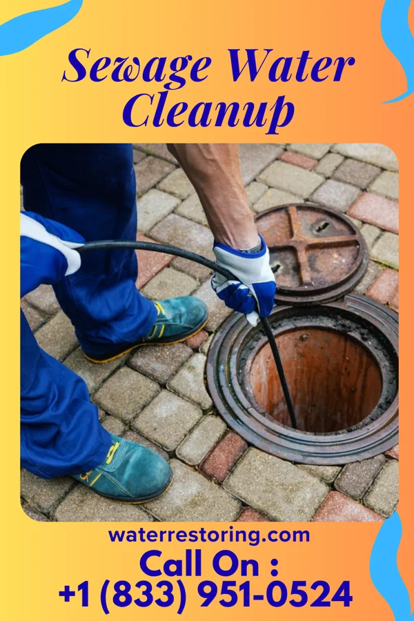 Sewage Water Cleanup in Castor, LA